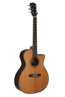 Dowina Danubius GAC-ds akustická gitara
