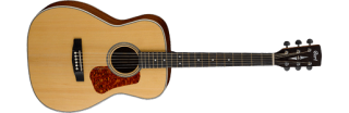 Cort L100C NS akustická gitara
